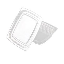 salaattirasian kansi